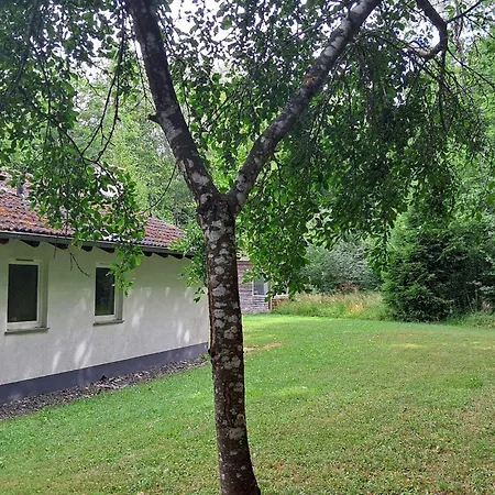 3 Bedroom Cozy In Gerolsteinhinterhaus * Hinterhausen